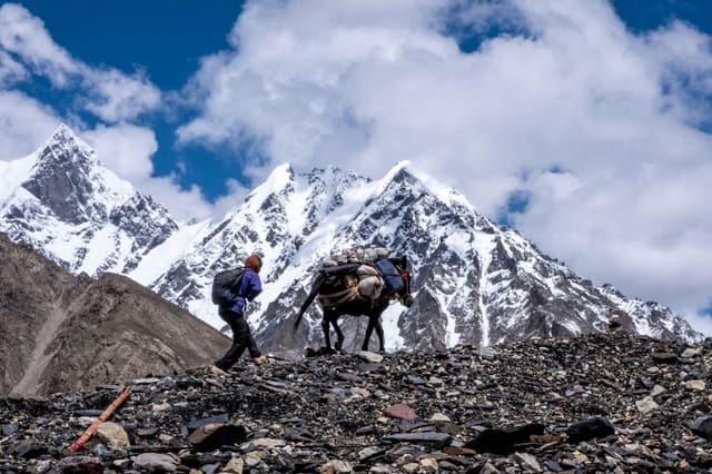 K2 and Gondogoro La Trek